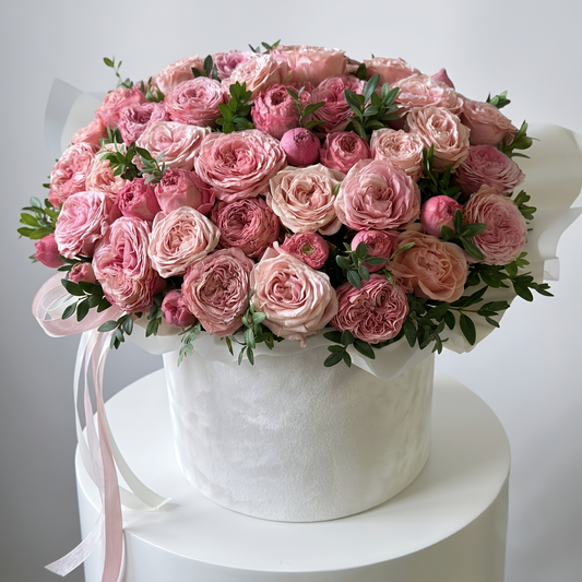 Blush Velvet Premium Garden Rose Box