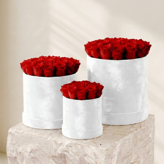 Crimson Velvet Dome