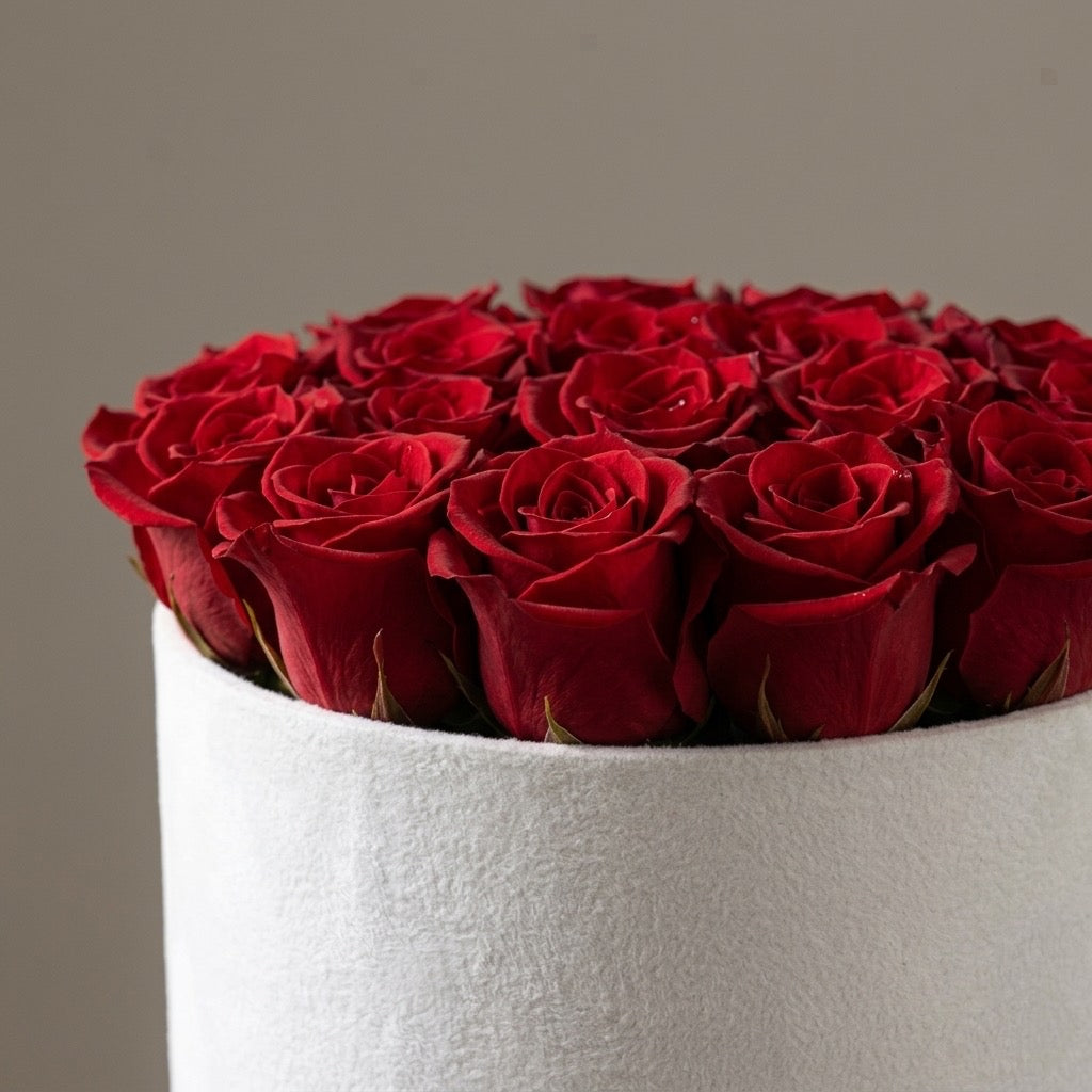 Crimson Velvet Dome