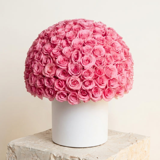 Blush Rose Dome