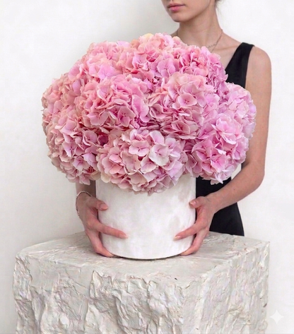 Pink Hydrangea Cloud