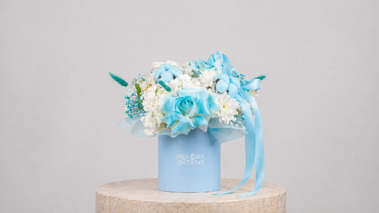 Cerulean Cloud Petite