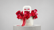 Crimson Carry-All Tote