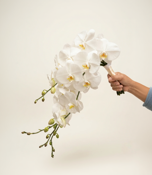 Phalaenopsis Cascade Bridal Bouquet
