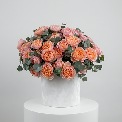 Peach Sorbet Luxury Garden Rose Box