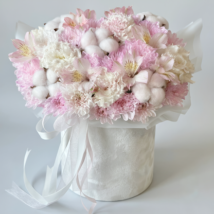 Cotton Cloud Luxury Pastel Box