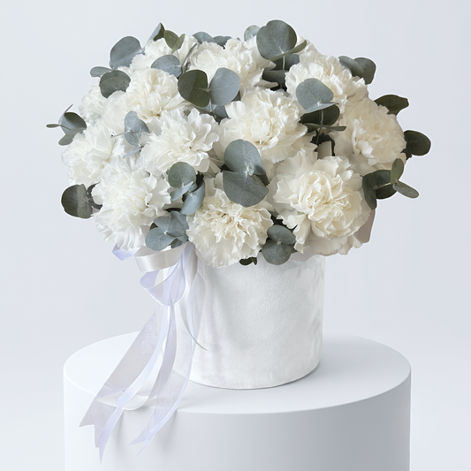 White Serenity Carnation Velvet Box