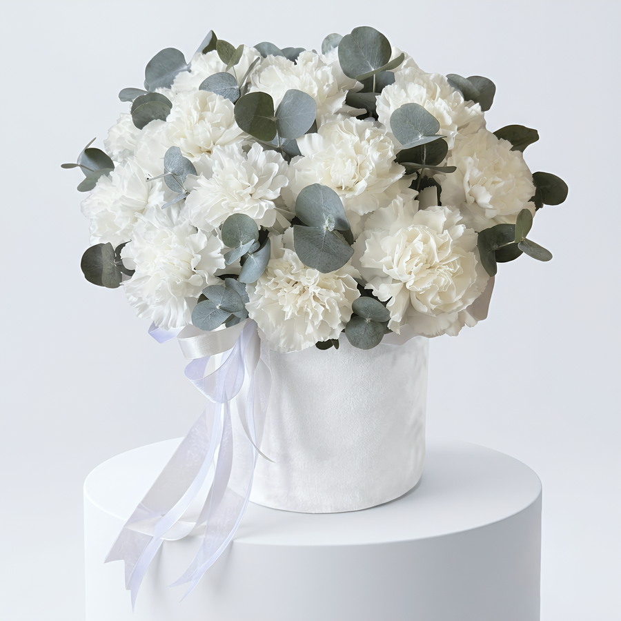 White Serenity Carnation Velvet Box