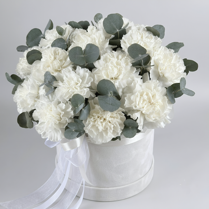 White Serenity Carnation Velvet Box