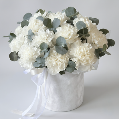 White Serenity Carnation Velvet Box