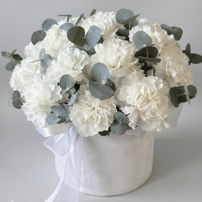 White Serenity Carnation Velvet Box