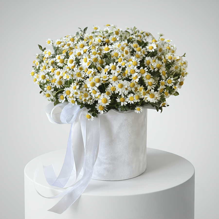 Wild Fields Chamomile Luxury Box
