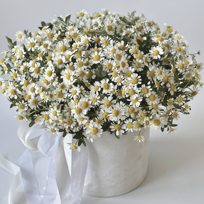 Wild Fields Chamomile Luxury Box