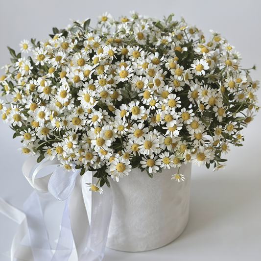 Wild Fields Chamomile Luxury Box