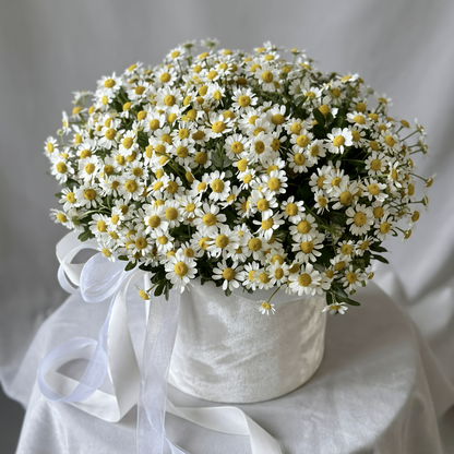 Wild Fields Chamomile Luxury Box