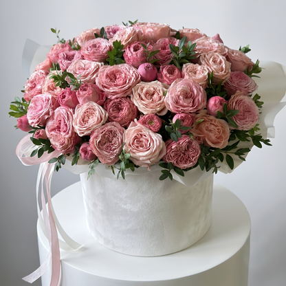 Blush Velvet Premium Garden Rose Box