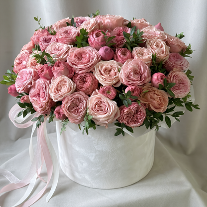 Blush Velvet Premium Garden Rose Box