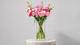 Pink Meadow Cylinder