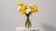 Golden Cotton Cylinder