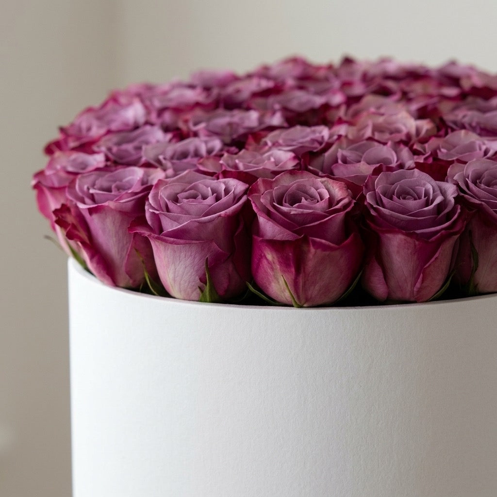 Amethyst Velvet Dome