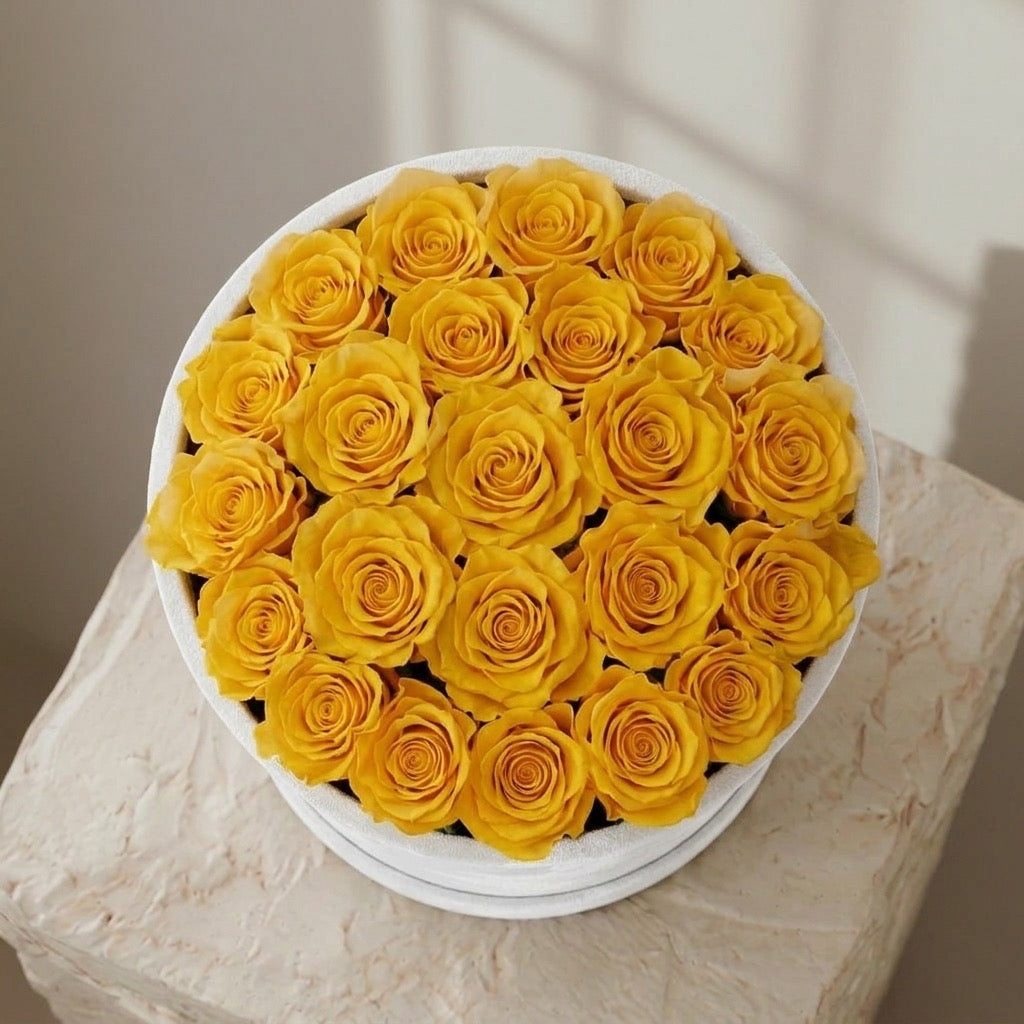 Soleil Velvet Dome