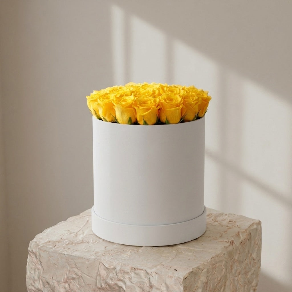 Soleil Velvet Dome