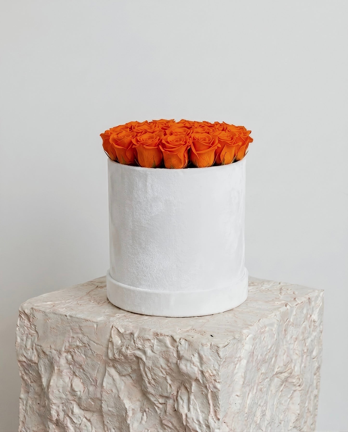 Amber Velvet Dome