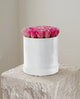 Orchid Pink Velvet Dome
