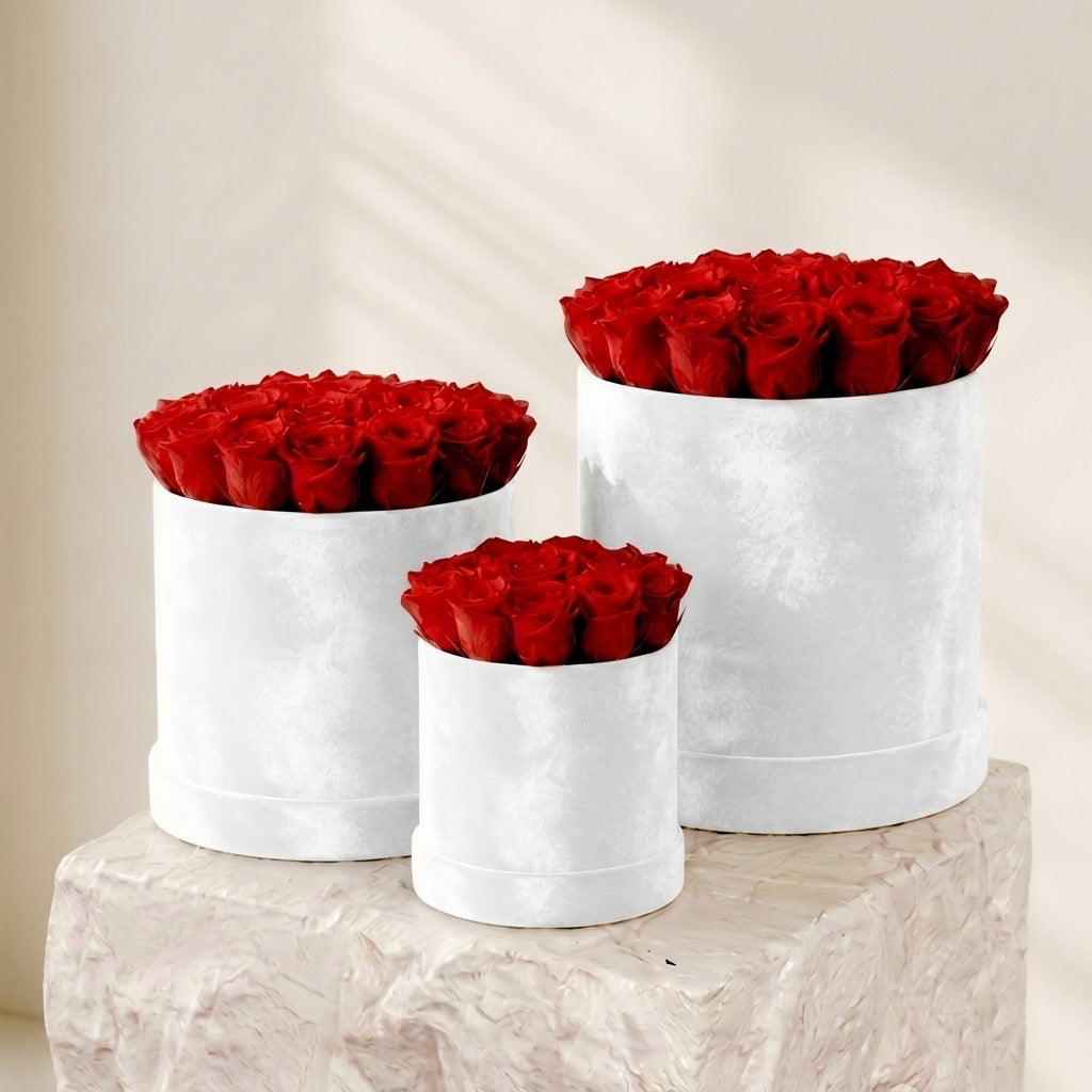 Crimson Velvet Dome