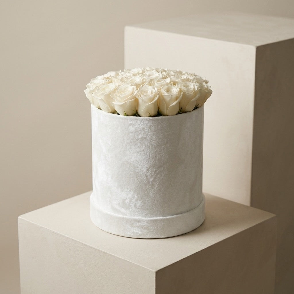 Blanche Velvet Dome