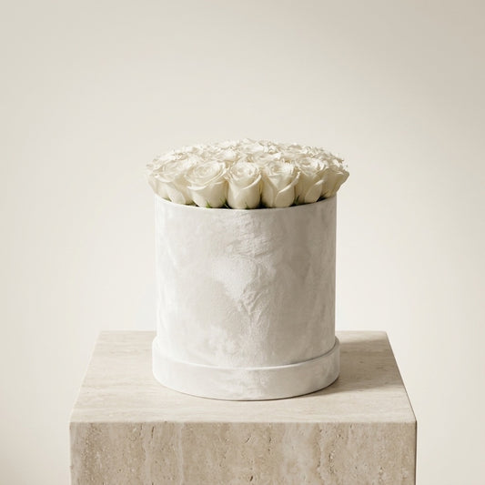 Blanche Velvet Dome