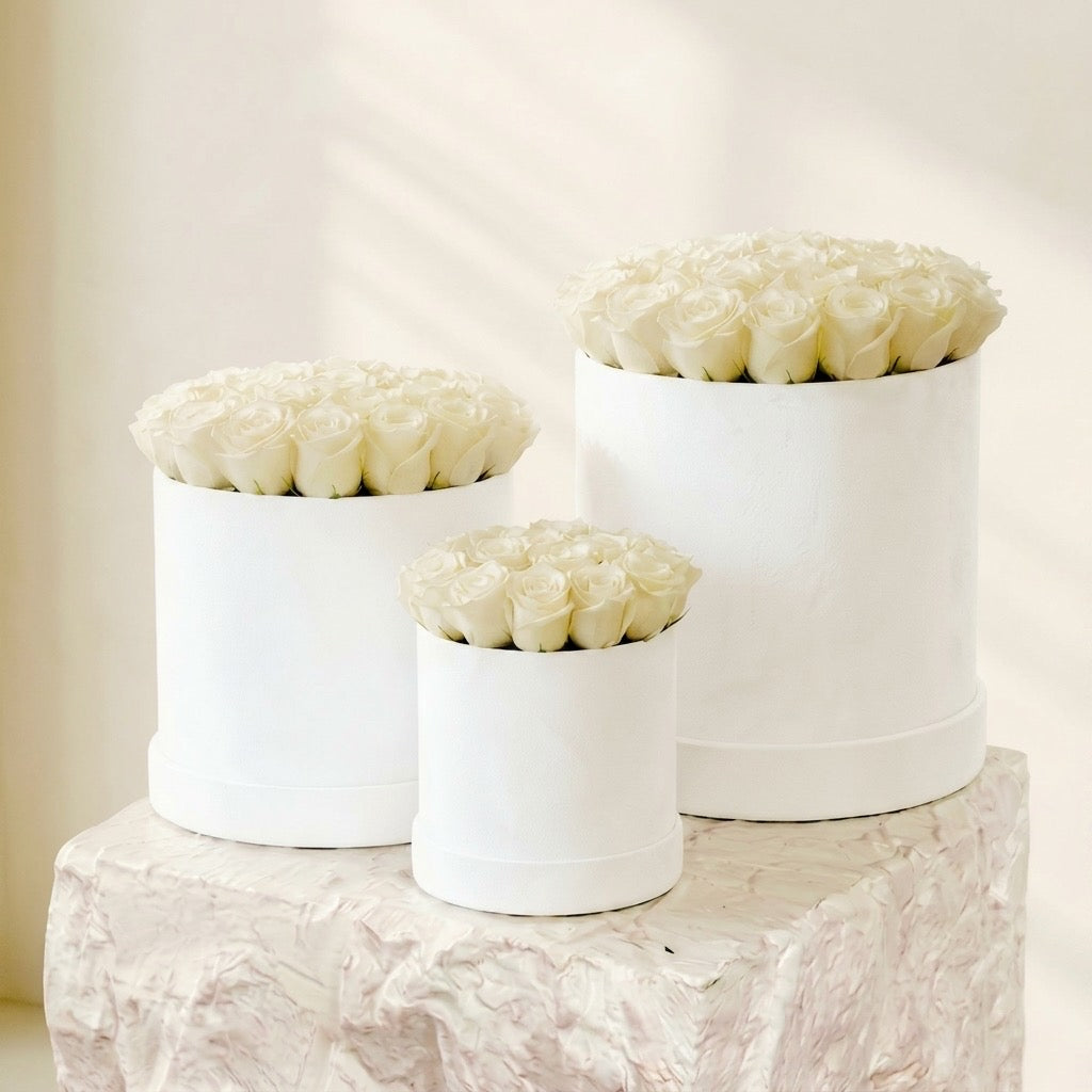 Blanche Velvet Dome