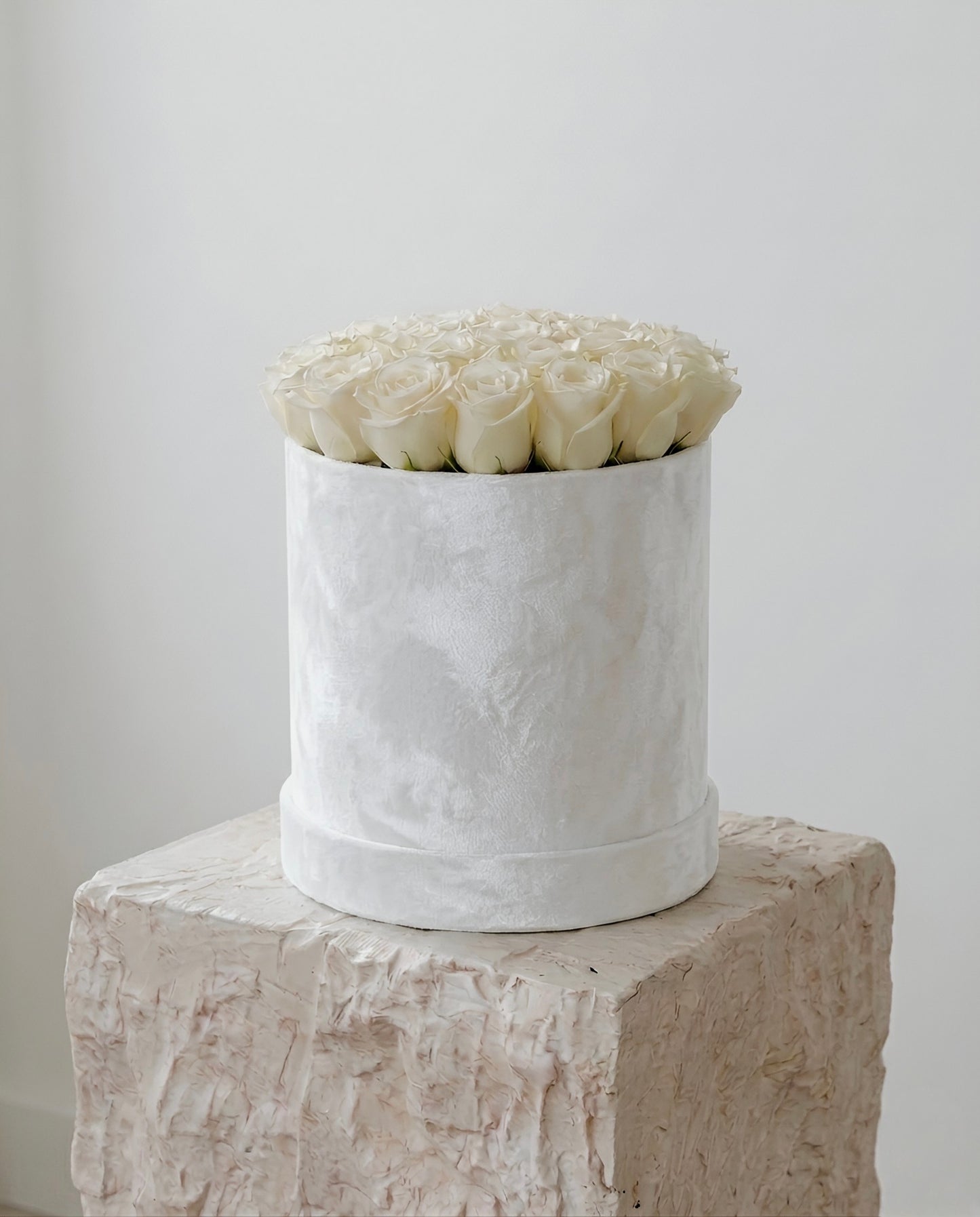 Blanche Velvet Dome