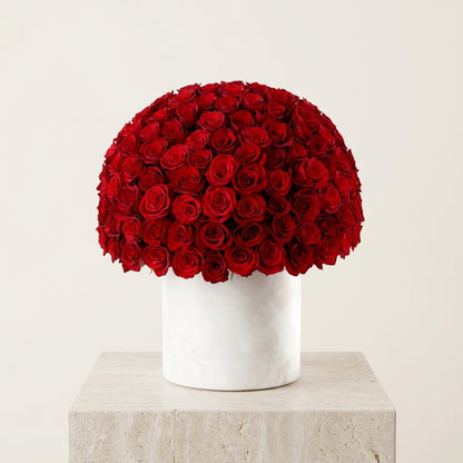 Velvet Rouge Rose Dome