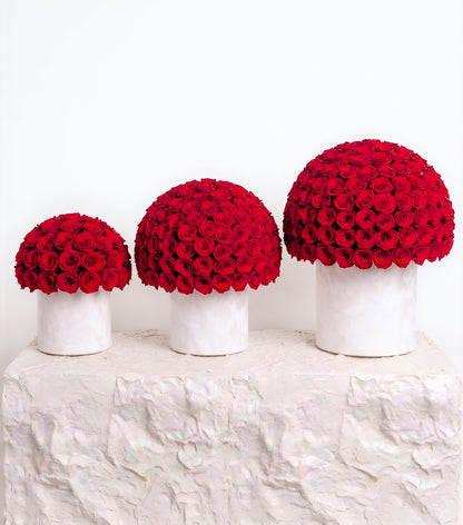 Velvet Rouge Rose Dome