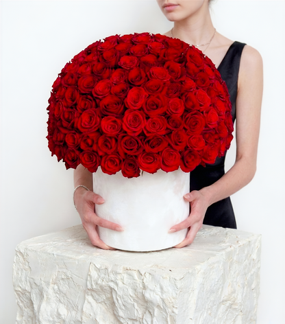 Velvet Rouge Rose Dome