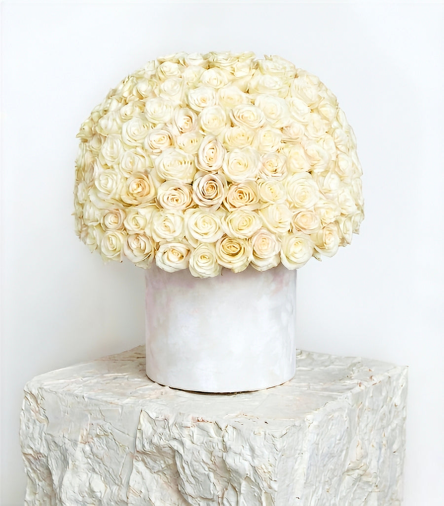 Ivory Rose Cloud Dome