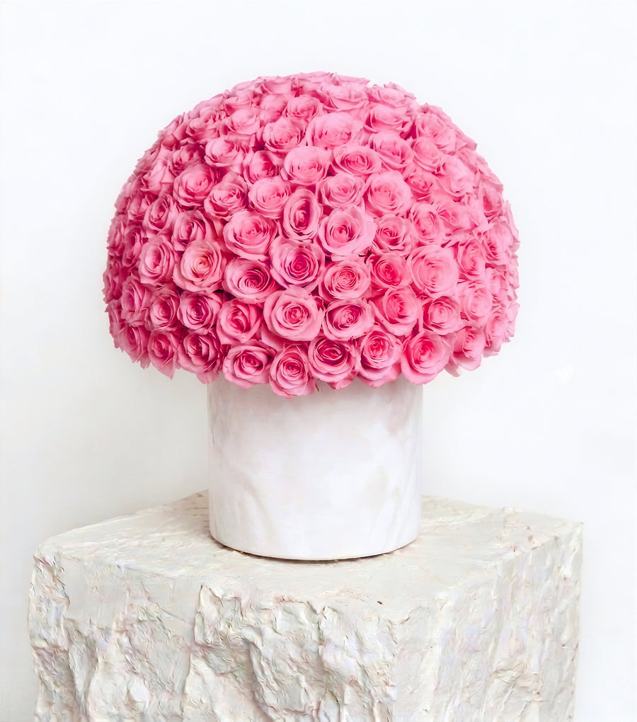 Blush Rose Dome