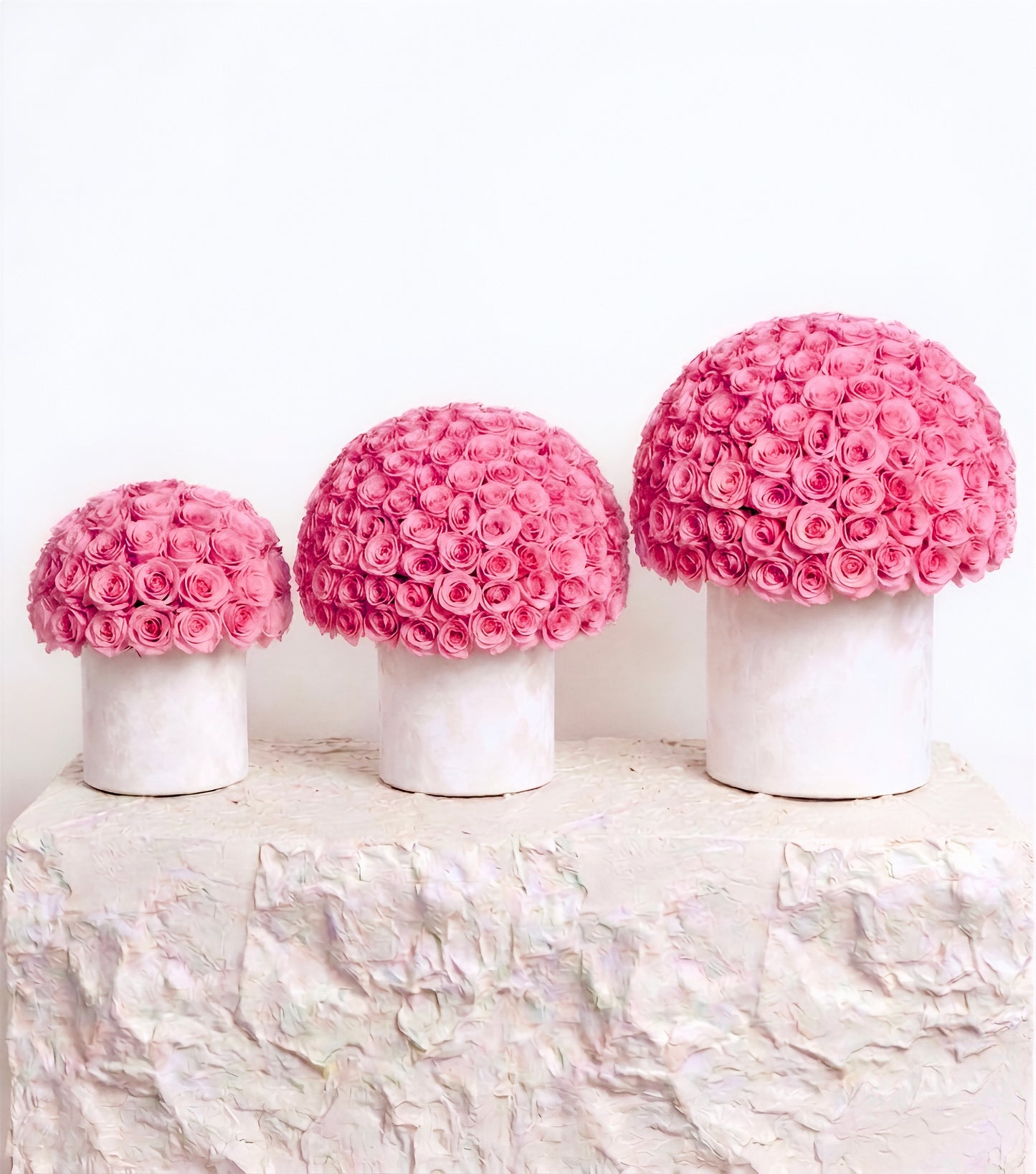 Blush Rose Dome