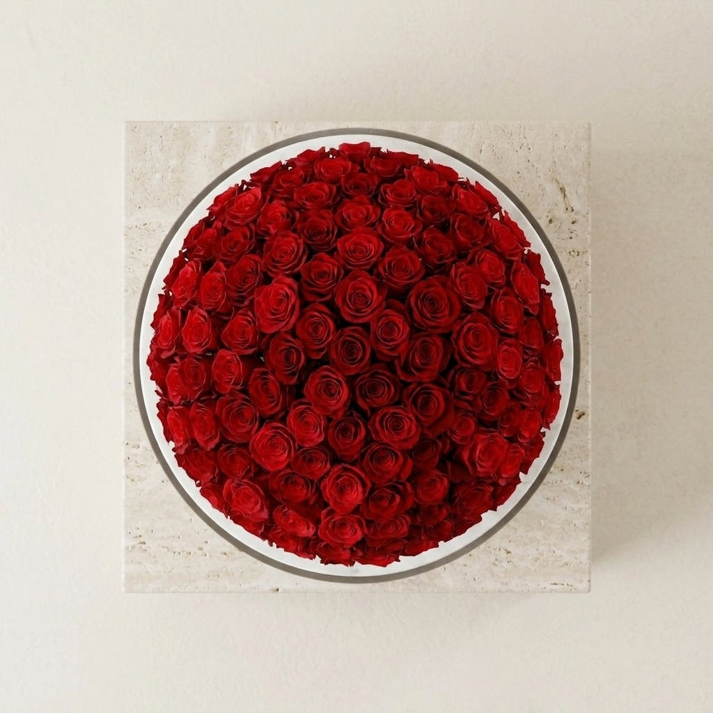 Velvet Rouge Rose Dome