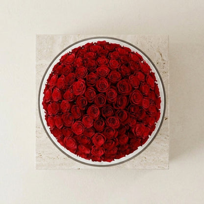 Velvet Rouge Rose Dome