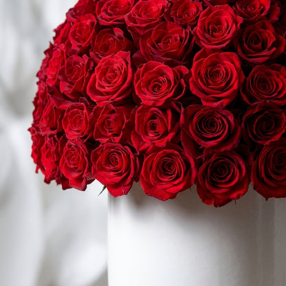 Velvet Rouge Rose Dome