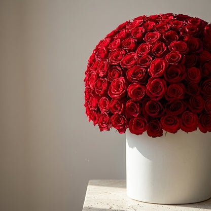 Velvet Rouge Rose Dome
