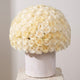 Ivory Rose Cloud Dome
