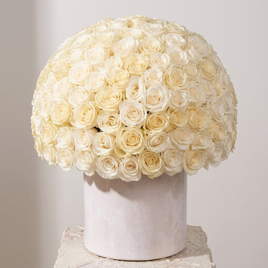 Ivory Rose Cloud Dome