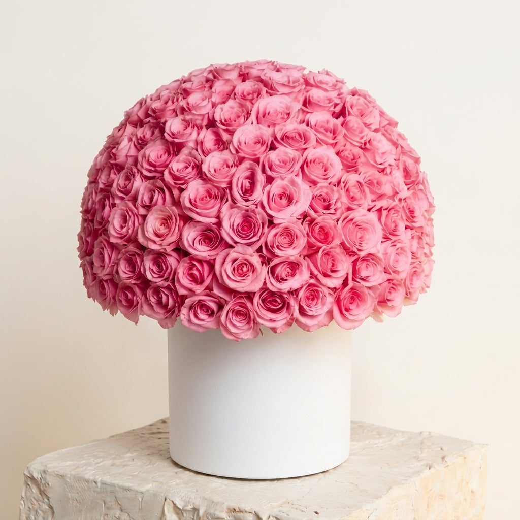 Blush Rose Dome