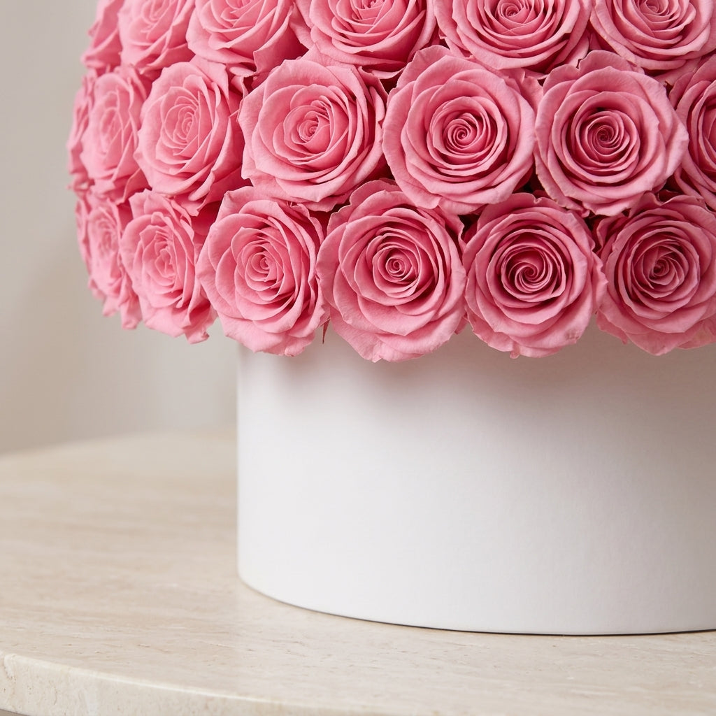 Blush Rose Dome
